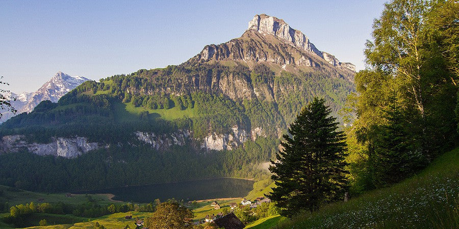 Taten statt Labels: Nachhaltige Fakten zu unserer Käseproduktion